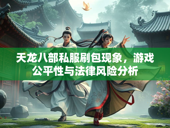 天龙八部私服刷包现象，游戏公平性与法律风险分析  第2张