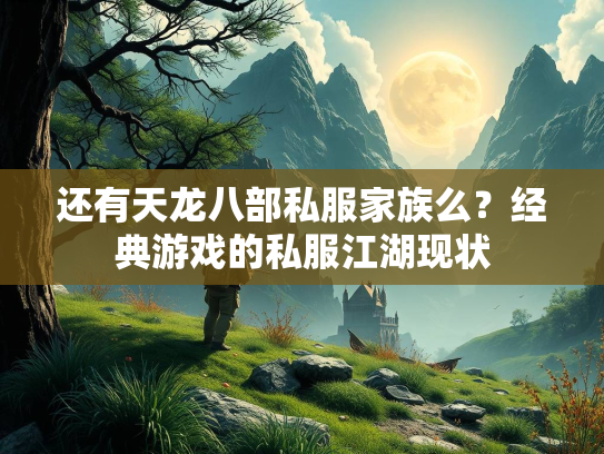 还有天龙八部私服家族么？经典游戏的私服江湖现状  第1张