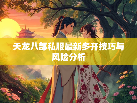 天龙八部私服最新多开技巧与风险分析  第1张