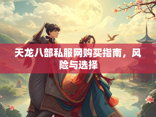 天龙八部私服网购买指南，风险与选择  第2张
