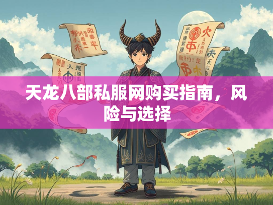 天龙八部私服网购买指南，风险与选择  第1张