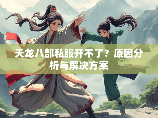 天龙八部私服开不了？原因分析与解决方案  第2张