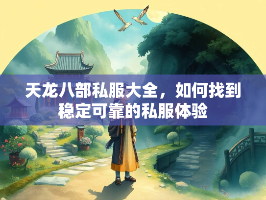 天龙八部私服大全，如何找到稳定可靠的私服体验  第3张