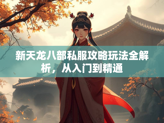 新天龙八部私服攻略玩法全解析，从入门到精通  第2张