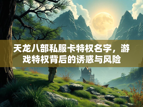 天龙八部私服卡特权名字，游戏特权背后的诱惑与风险  第2张