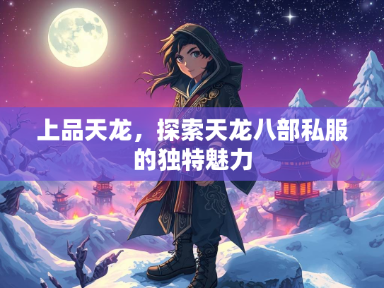 上品天龙，探索天龙八部私服的独特魅力  第2张