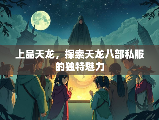 上品天龙，探索天龙八部私服的独特魅力  第3张
