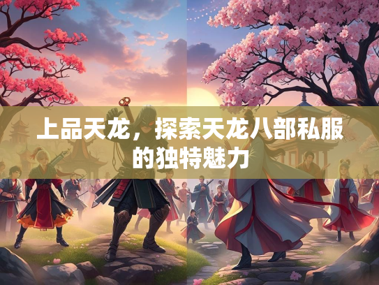 上品天龙，探索天龙八部私服的独特魅力  第1张
