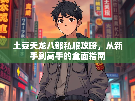 土豆天龙八部私服攻略，从新手到高手的全面指南  第2张