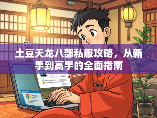 土豆天龙八部私服攻略，从新手到高手的全面指南  第1张