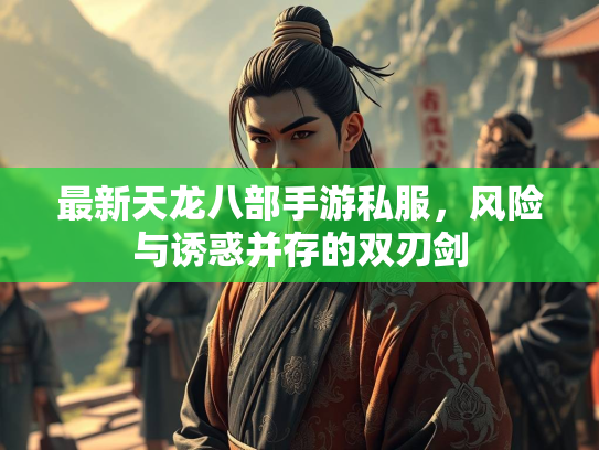 最新天龙八部手游私服，风险与诱惑并存的双刃剑  第3张