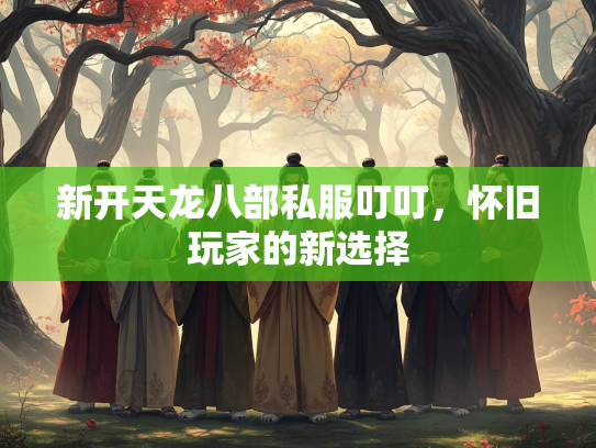 新开天龙八部私服叮叮，怀旧玩家的新选择  第2张