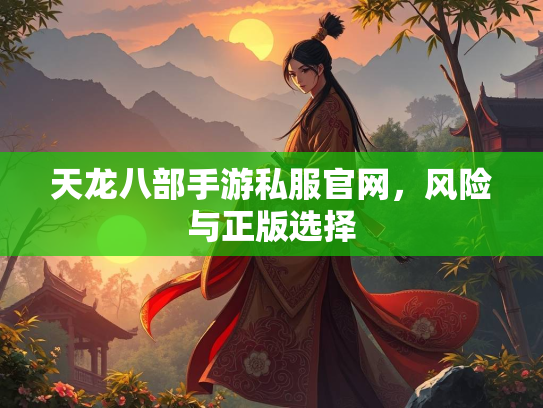 天龙八部手游私服官网，风险与正版选择  第2张