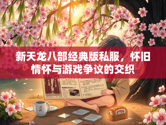新天龙八部经典版私服，怀旧情怀与游戏争议的交织  第1张
