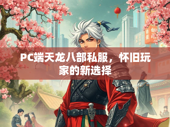 PC端天龙八部私服，怀旧玩家的新选择  第1张