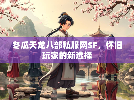 冬瓜天龙八部私服网SF，怀旧玩家的新选择  第3张