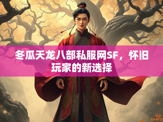 冬瓜天龙八部私服网SF，怀旧玩家的新选择  第1张