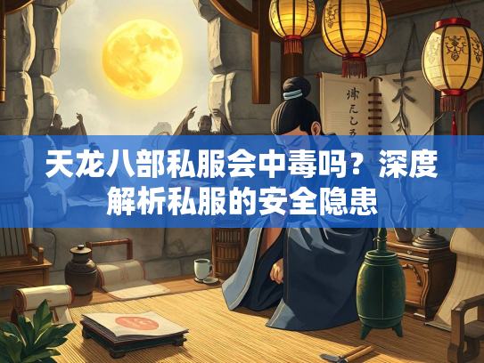 天龙八部私服会中毒吗？深度解析私服的安全隐患  第2张
