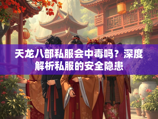 天龙八部私服会中毒吗？深度解析私服的安全隐患  第1张