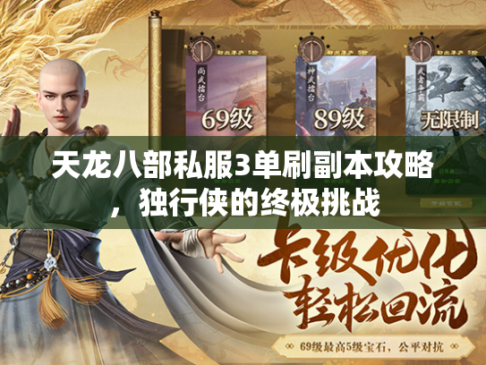 天龙八部私服3单刷副本攻略，独行侠的终极挑战