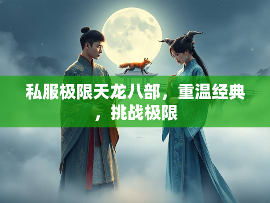 私服极限天龙八部，重温经典，挑战极限  第2张