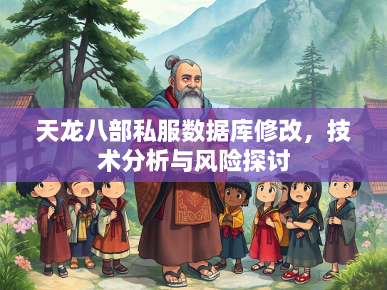 天龙八部私服数据库修改，技术分析与风险探讨  第3张