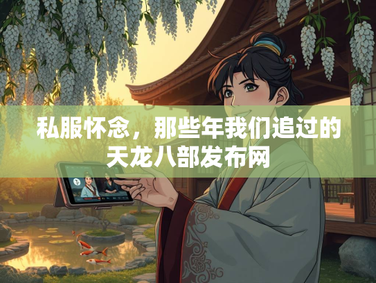 私服怀念，那些年我们追过的天龙八部发布网  第1张