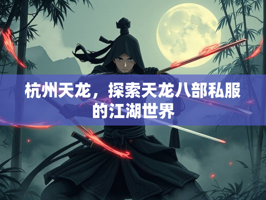 杭州天龙，探索天龙八部私服的江湖世界  第1张