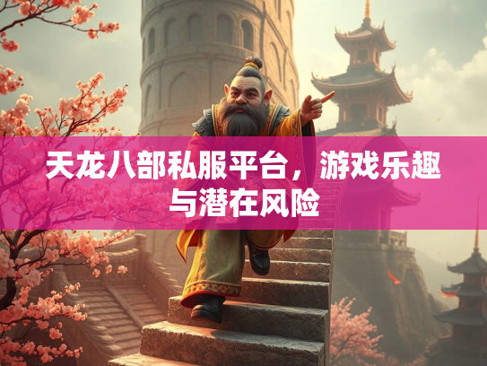 天龙八部私服平台，游戏乐趣与潜在风险  第3张