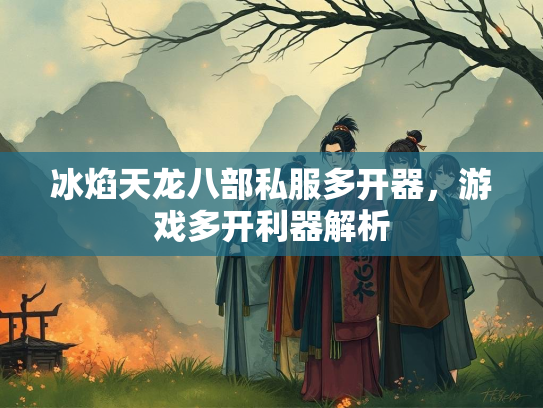 冰焰天龙八部私服多开器，游戏多开利器解析  第2张