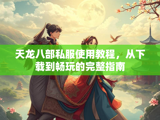 天龙八部私服使用教程，从下载到畅玩的完整指南  第2张