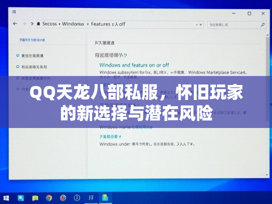 QQ天龙八部私服，怀旧玩家的新选择与潜在风险  第3张