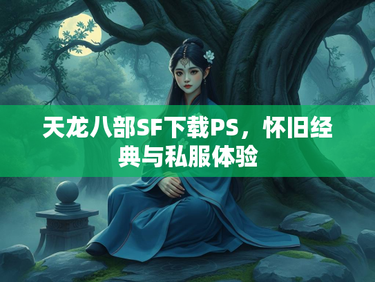 天龙八部SF下载PS，怀旧经典与私服体验  第3张