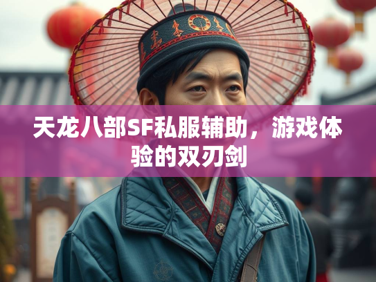 天龙八部SF私服辅助，游戏体验的双刃剑  第3张