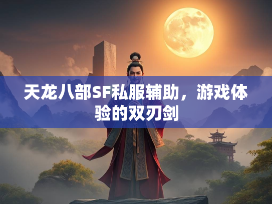 天龙八部SF私服辅助，游戏体验的双刃剑  第1张
