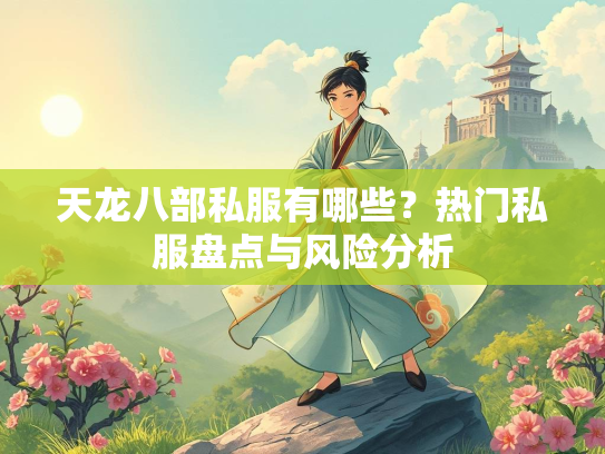 天龙八部私服有哪些？热门私服盘点与风险分析  第2张