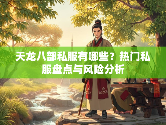 天龙八部私服有哪些？热门私服盘点与风险分析  第3张