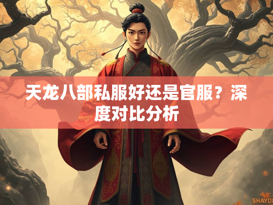 天龙八部私服好还是官服？深度对比分析  第1张
