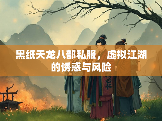 黑纸天龙八部私服，虚拟江湖的诱惑与风险  第2张