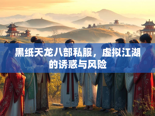 黑纸天龙八部私服，虚拟江湖的诱惑与风险  第3张