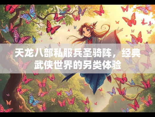 天龙八部私服兵圣骑阵，经典武侠世界的另类体验  第2张