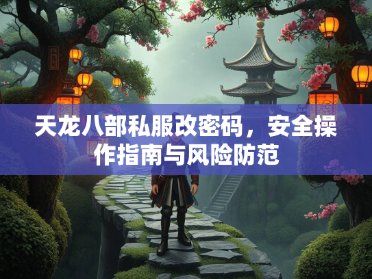 天龙八部私服改密码，安全操作指南与风险防范  第1张