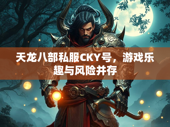 天龙八部私服CKY号，游戏乐趣与风险并存  第2张
