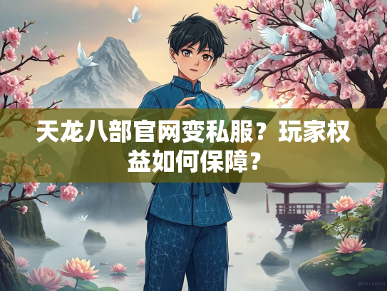 天龙八部官网变私服？玩家权益如何保障？  第1张