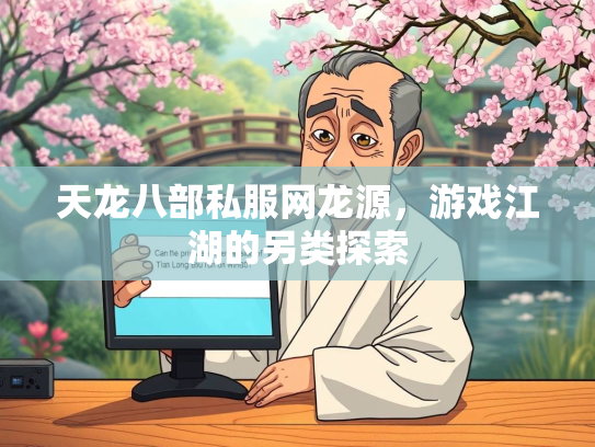 天龙八部私服网龙源，游戏江湖的另类探索  第2张