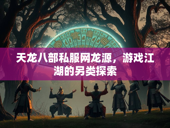 天龙八部私服网龙源，游戏江湖的另类探索  第1张