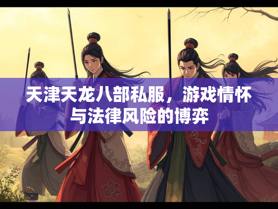 天津天龙八部私服，游戏情怀与法律风险的博弈  第1张