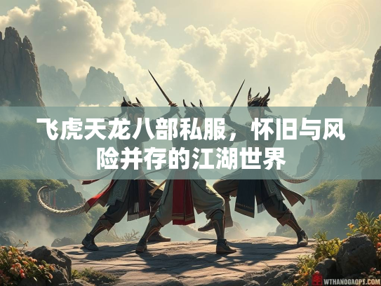 飞虎天龙八部私服，怀旧与风险并存的江湖世界  第2张