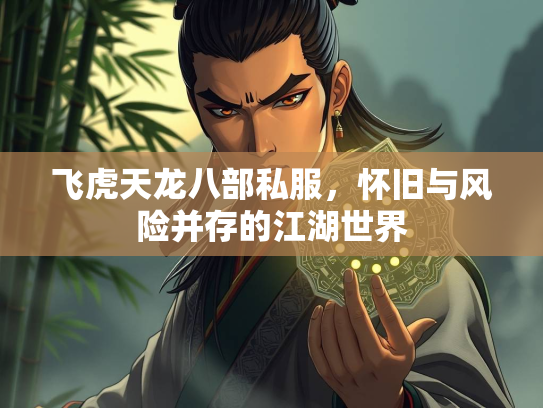 飞虎天龙八部私服，怀旧与风险并存的江湖世界