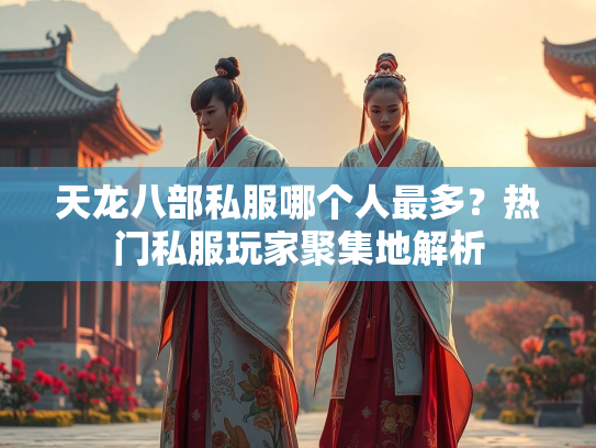 天龙八部私服哪个人最多？热门私服玩家聚集地解析  第3张